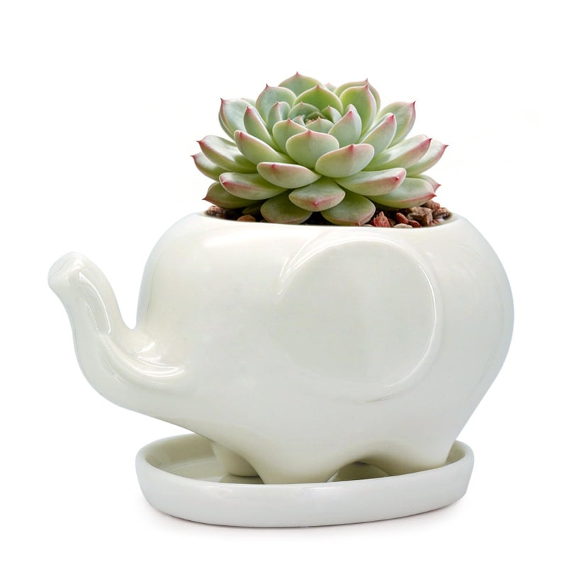 GeLive White Elephant Succulent Planter Ceramic Plant Pot Window Box with Saucer Animal Indoor Tabletop Decor Fun Gift 5 Inch (Mom Elephant) - Image 1